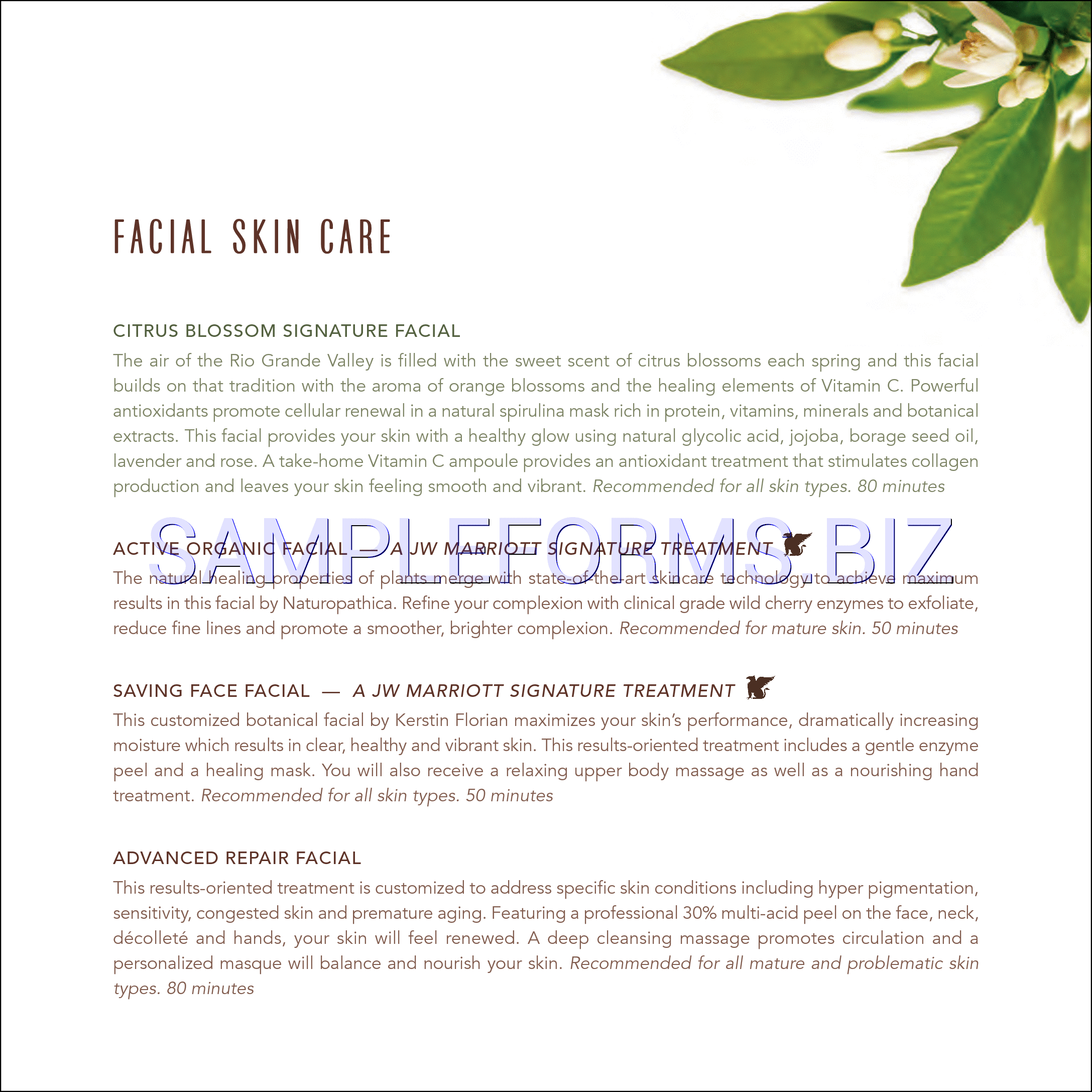 Preview free downloadable Spa Brochure 3 in PDF (page 8)